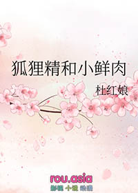 ���꾫��С����