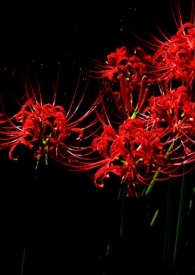 �����أ��ٻ�һ��