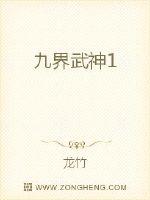 九界武神